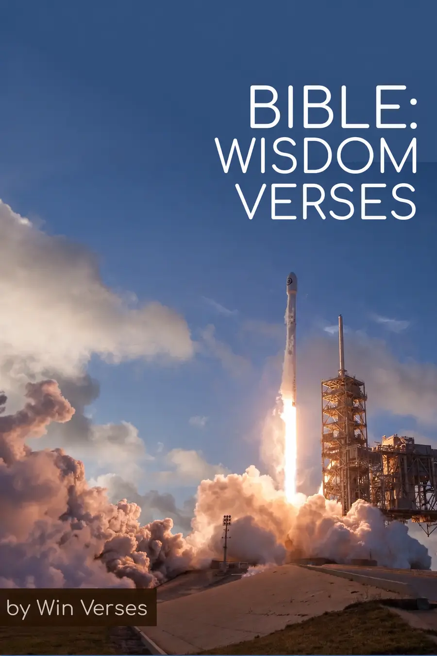 BIBLE: Wisdom Verses book cover